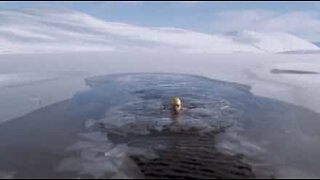 Svømmer i en frossen sø i det skotske højland