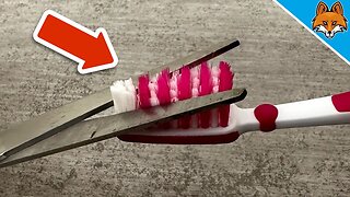 THAT'S WHY you should cut off the Bristles of your Toothbrush 💥 (GENIUS Trick) 🤯