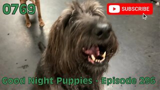 [0769] GOOD NIGHT PUPPIES - EPISODE 296