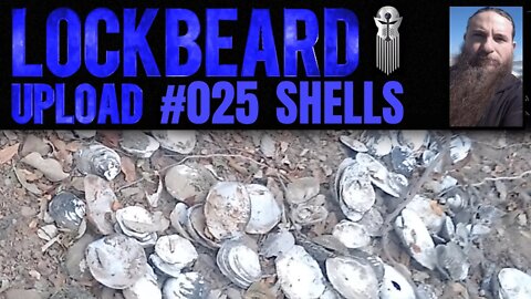 UPLOAD #025. Shells