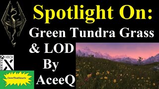 Skyrim (mods) - Spotlight On: Green Tundra Grass & LOD By AceeQ