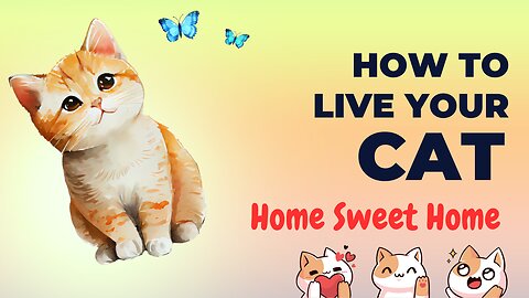 How to Live Your Cat | Home Sweet Home