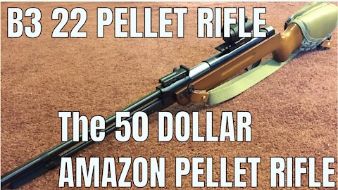 B3-3 .22 Pellet Rifle AKA The Norinco Pellet Rifle One Year later. The 80 Dollar Pellet Rifle