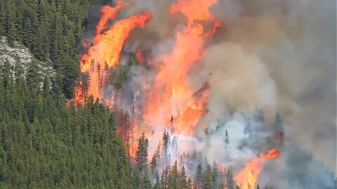 Wildfire outlook 2021: Drought fuels fears of a devastating season