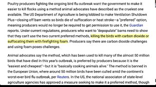 🟨 美國 家禽生產商正在遊說政府通過關閉通風來殺死整個雞舍