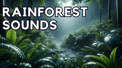 RAINFOREST SOUNDS | Rainstorm For Sleeping And Concentration | 10 HOURS