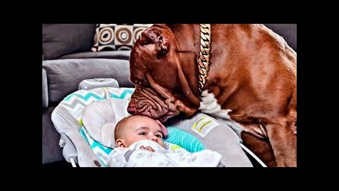 Dog Barks At Babysitter, So Mom Hides Camera In Hair