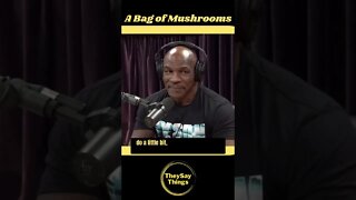 Mike Tyson, A Bag of Mushrooms