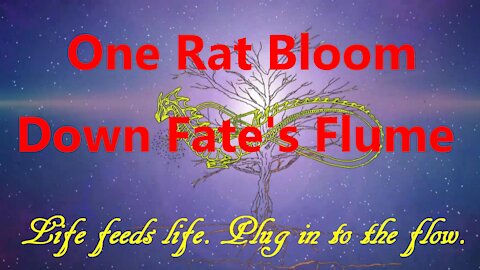 One Rat Bloom Down Fate's Flume