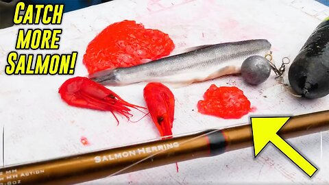 BAIT Fishing KING Salmon DETAILED HOW-TO. (Stream Fishing Tips!)