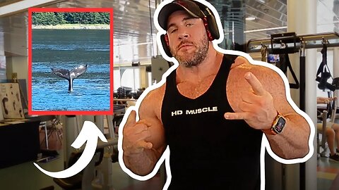 SHOULDER PUMP ACHIEVED ON BOAT (whale spotted!)