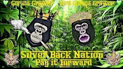 WORKING IN THE GARDEN COME WORK WITH ME MAYBE WE CAN LEARN SOMETHING TOGETHER LET GO SILVERBACK ARMY