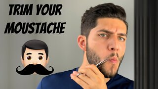 How To Trim Your Moustache Tutorial 2020
