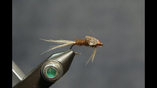 Simple Mayfly Nymph