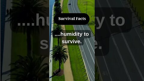 Do you agree with this? Please share your thoughts and opinions in the comments. 👉#short #survival