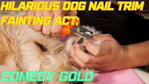 Dramatic Dog's Oscar-Worthy Nail Trim Act!