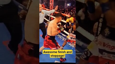 Awesome Stoppage for Zepeda! #boxing #boxingcommentary #boxingfight #proboxing