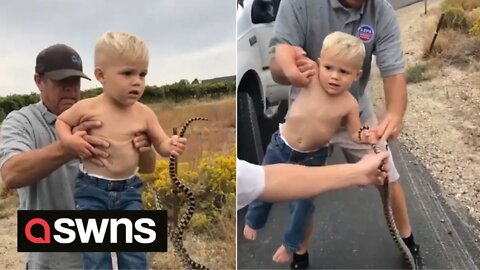 Funny moment US toddler refuses to let go of a wild BULL SNAKE