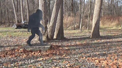 Bigfoot Footage, Leaving Car Behind