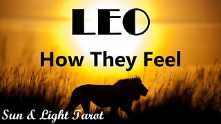LEO♌ They Feel The Love! They're Planning Their Next Big Move💟 How They Feel December 2023