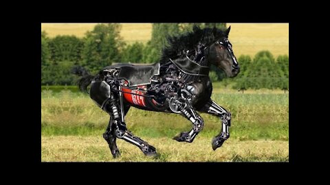 8 ADVANCED ROBOTS ANIMAL YOU NEED TO SEE