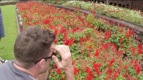 Emozionante: Ragazzo vede i colori per la prima volta