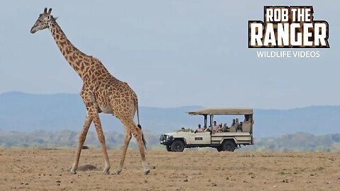 Watching Wildlife In Open Vehicles | Lalashe Mara Ripoi Safari