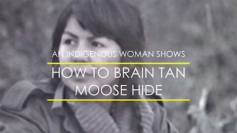 How To Brain Tan Moose Hide, Taught By An Indigenous Woman
