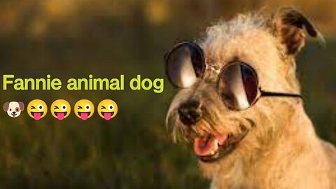 TOP 10 dog barking videos compilation 2016 Dog barking sound - Funny dogs