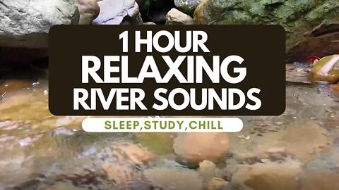 RELAXING RIVER SOUNDS 1 HOUR - THE BEST WAY FOR DEEP SLEEPING, STUDY, CHILL