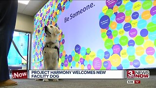 Project Harmony welcomes new facility dog