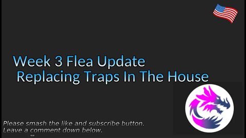 Flea Log Week 3 Terro T231 Traps