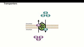 3 Pharmacodynamics Non Receptor Drug Targets