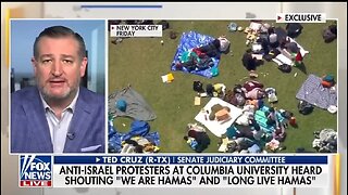 Sen Ted Cruz: This Is Cultural Marxism!