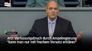 AfD: Verfassungsbruch durch Ampelregierung "kann man nur mit frechem Vorsatz erklären"