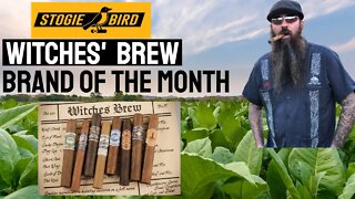 Stogiebird Witches' Brew 2021 | Cigar Prop