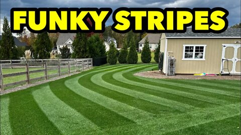 This is a FUNKY LAWN STRIPING PATTERN