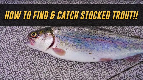 The EASIEST Way To Find & CATCH Stocked Trout! - Trout Fishing Tips & Ticks