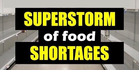 FOOD SHORTAGES have barely begun – TIME IS SHORT!