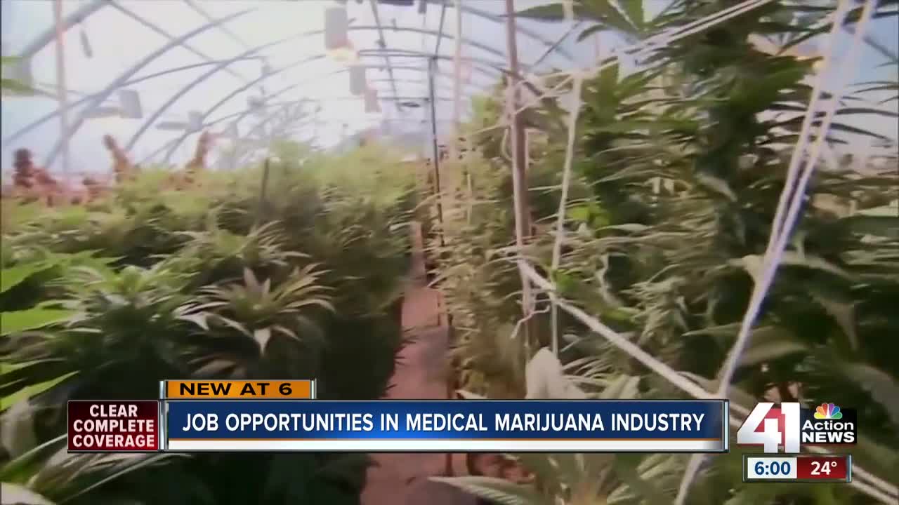 Not your average job fair: Hopeful medical marijuana licensees seek prospective employees