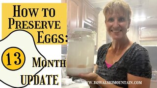 13 Month UPDATE Egg Preservation Experiment | How to Preserve Eggs