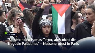 "Sie sehen den Hamas-Terror, aber nicht die Tragödie Palästinas" – Massenprotest in Paris
