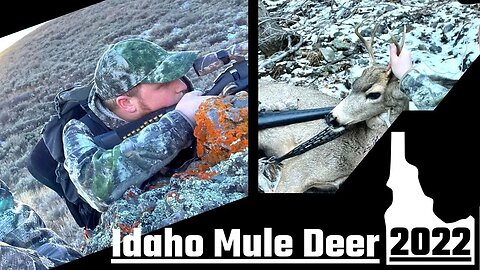 We Found Deer From 3.5 Miles Away!! | 2022 Idaho Mule Deer