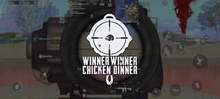 Chicken dinner with 10 kills