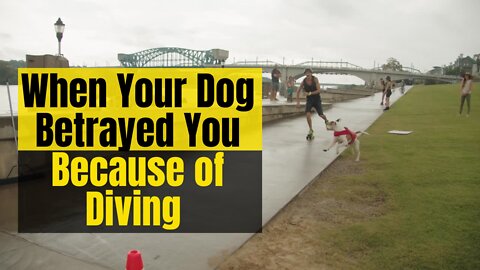 When Your Dog Betrayed You Because of Diving!