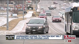 SRN SEAT BELT LAWS