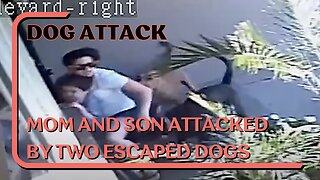 Dog Attack: Mom And Child Attacked By Two Dogs, Know Your Outs, What To Do In Dog Attack