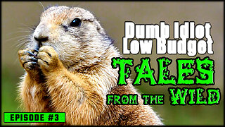 TALES FROM THE WILD (Episode #2) | funny animal voice-overs