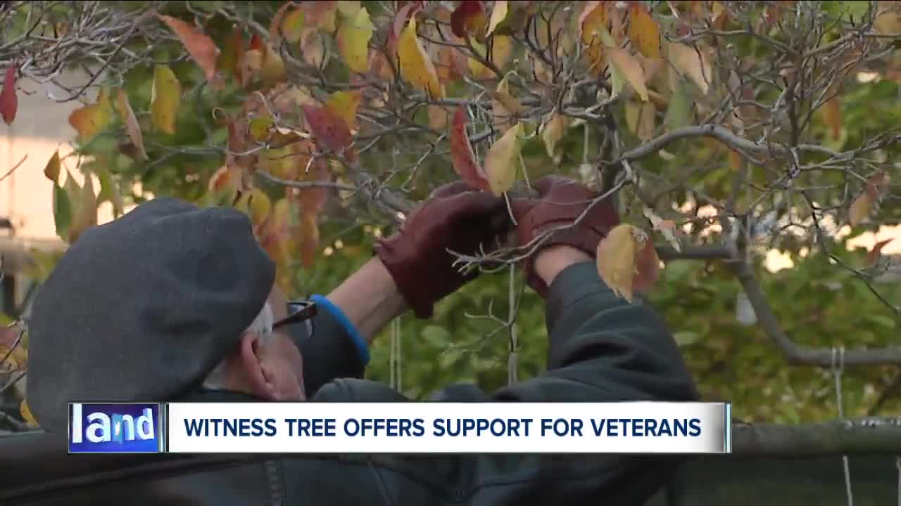 Veteran hangs 22 dog tags on tree in Akron every day for mental health awareness