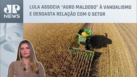 Kellen Severo: O agronegócio e os 10 dias do governo Lula
